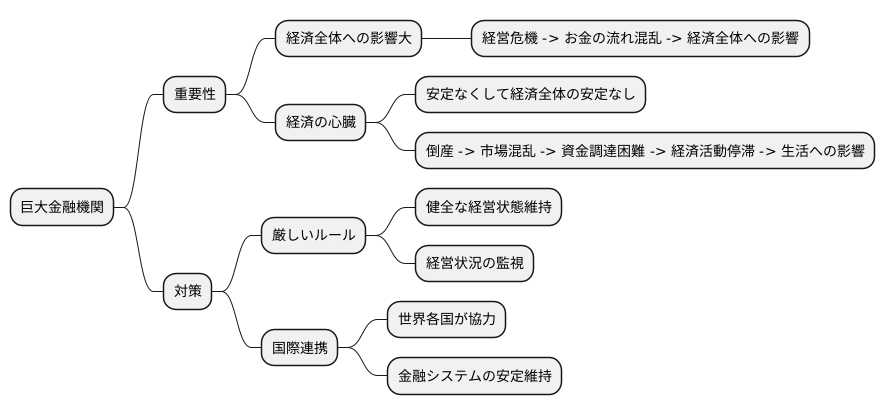 巨大金融機関とは