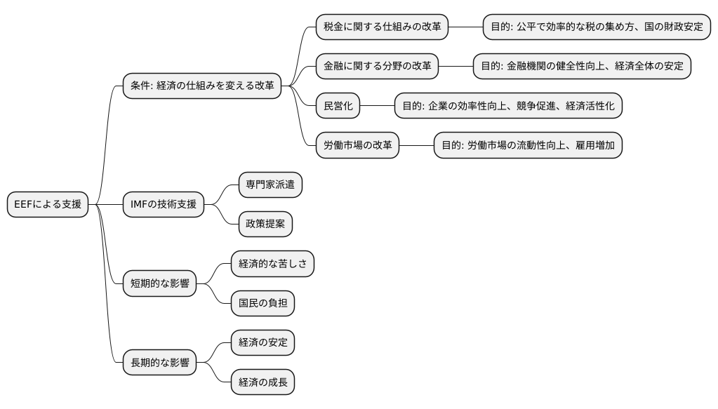 支援の内容と条件