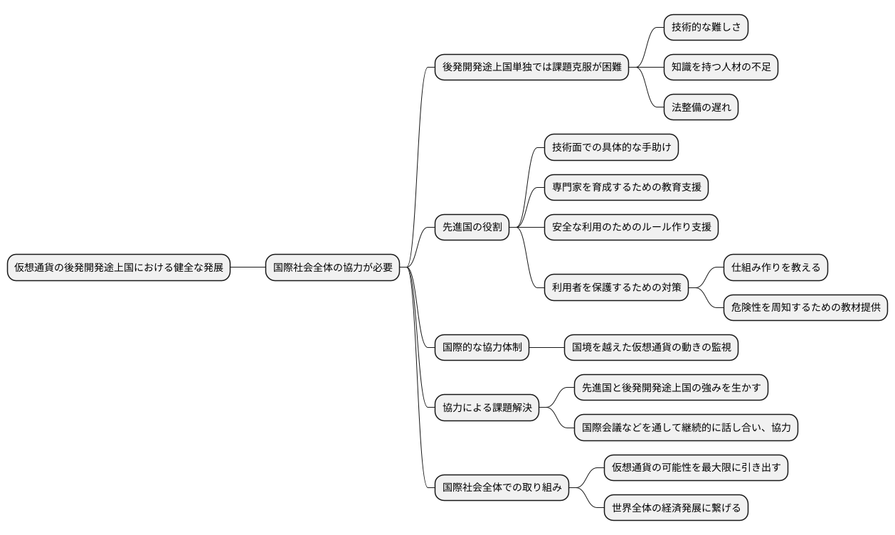 国際社会の役割