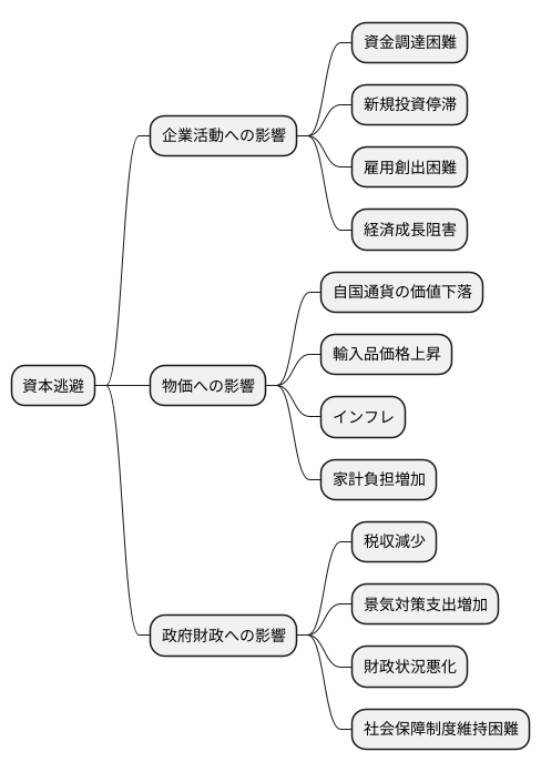 資本逃避の影響