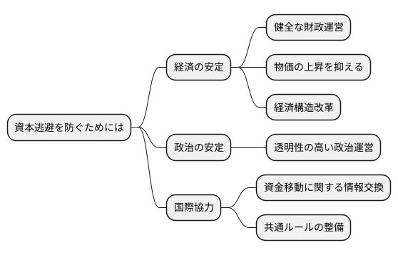 資本逃避への対策